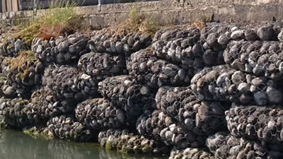 Укрепление донных зон цилиндрическими габионами