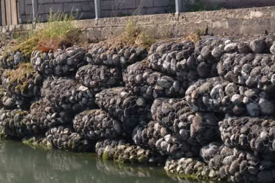 Укрепление донных зон цилиндрическими габионами