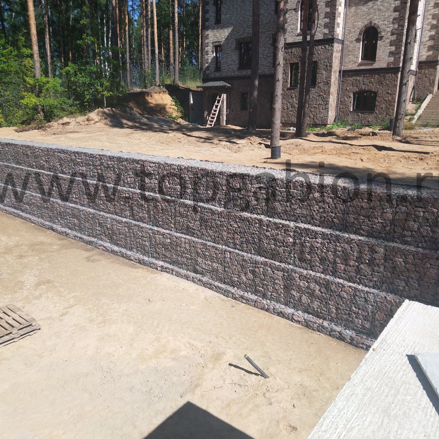 Янтарный берег 2024-02